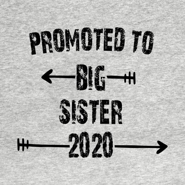 PROMOTED TO BIG SISTER 2020 by Daniello